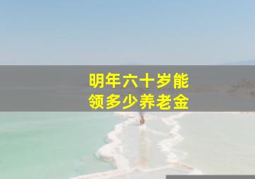 明年六十岁能领多少养老金