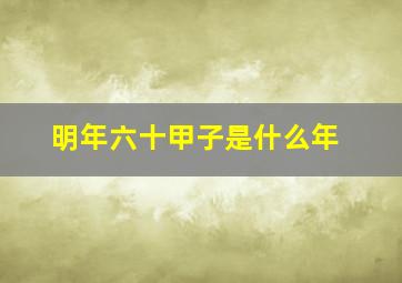 明年六十甲子是什么年