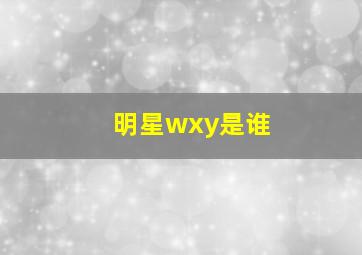 明星wxy是谁