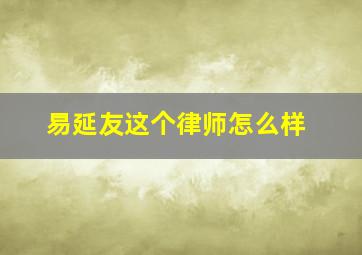 易延友这个律师怎么样