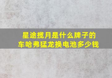 星途揽月是什么牌子的车哈弗猛龙换电池多少钱