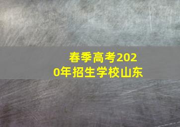 春季高考2020年招生学校山东