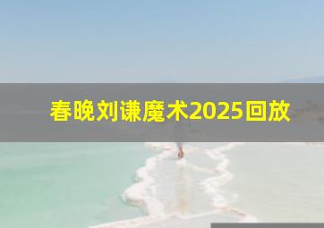 春晚刘谦魔术2025回放