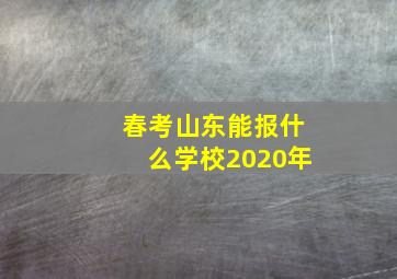 春考山东能报什么学校2020年