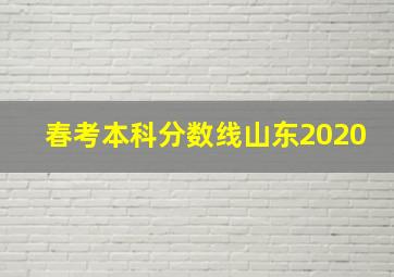 春考本科分数线山东2020