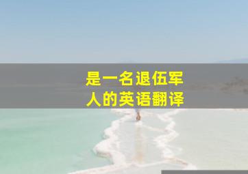 是一名退伍军人的英语翻译