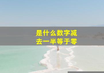 是什么数字减去一半等于零