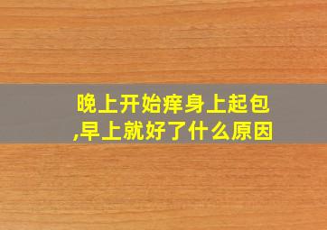 晚上开始痒身上起包,早上就好了什么原因