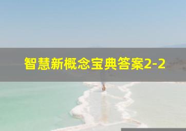 智慧新概念宝典答案2-2