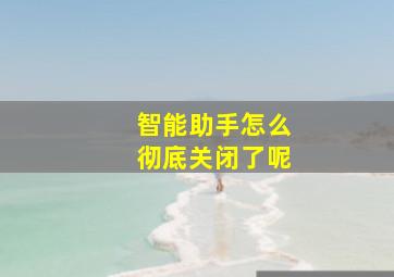 智能助手怎么彻底关闭了呢