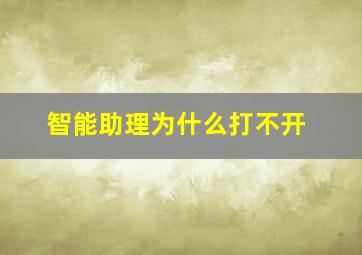 智能助理为什么打不开