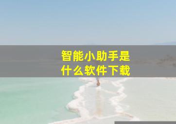 智能小助手是什么软件下载