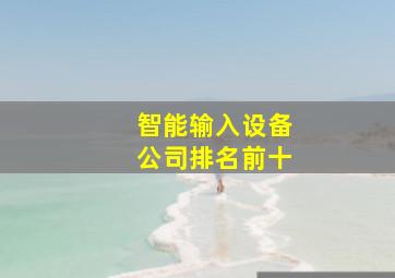 智能输入设备公司排名前十