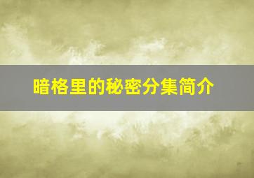 暗格里的秘密分集简介