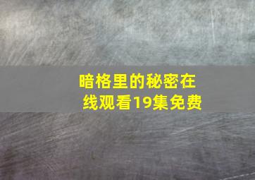 暗格里的秘密在线观看19集免费