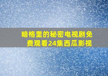 暗格里的秘密电视剧免费观看24集西瓜影视