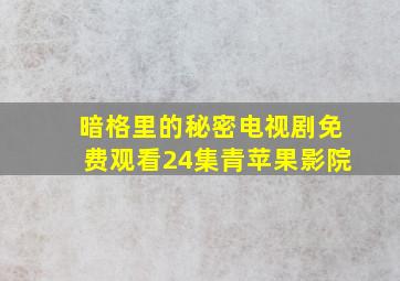 暗格里的秘密电视剧免费观看24集青苹果影院