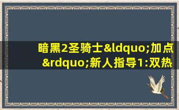 暗黑2圣骑士“加点”新人指导1:双热近战玩法