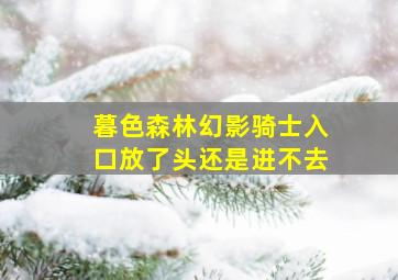 暮色森林幻影骑士入口放了头还是进不去