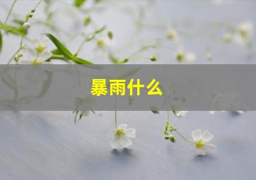 暴雨什么