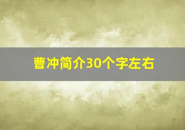 曹冲简介30个字左右