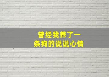 曾经我养了一条狗的说说心情