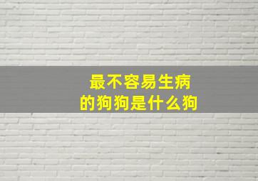 最不容易生病的狗狗是什么狗