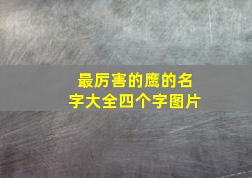 最厉害的鹰的名字大全四个字图片