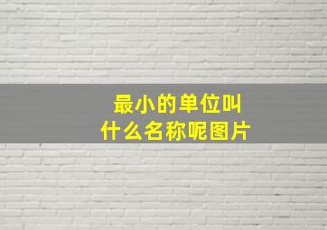 最小的单位叫什么名称呢图片