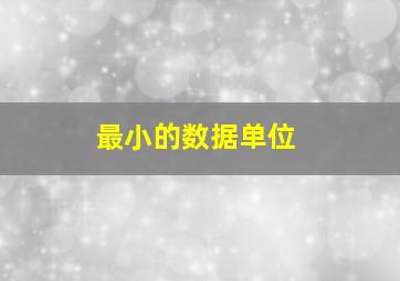 最小的数据单位