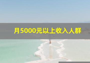 月5000元以上收入人群