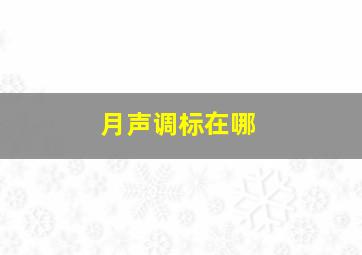 月声调标在哪