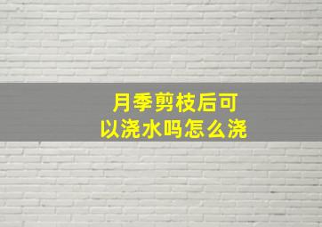 月季剪枝后可以浇水吗怎么浇