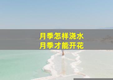 月季怎样浇水月季才能开花