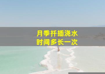 月季扦插浇水时间多长一次