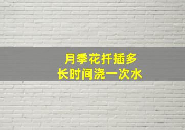 月季花扦插多长时间浇一次水