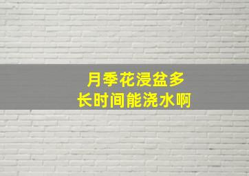 月季花浸盆多长时间能浇水啊