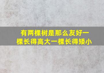 有两棵树是那么友好一棵长得高大一棵长得矮小