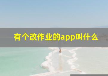 有个改作业的app叫什么