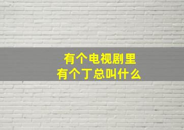 有个电视剧里有个丁总叫什么