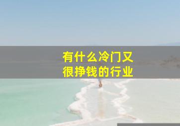 有什么冷门又很挣钱的行业