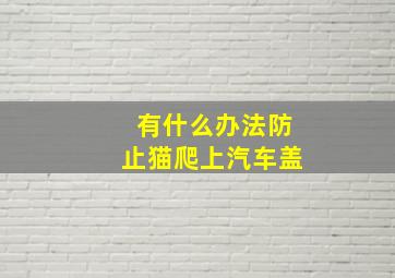 有什么办法防止猫爬上汽车盖