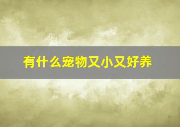 有什么宠物又小又好养