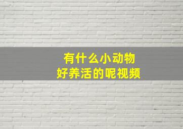 有什么小动物好养活的呢视频