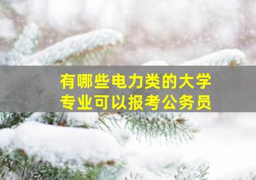 有哪些电力类的大学专业可以报考公务员