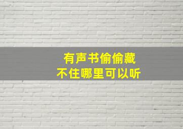 有声书偷偷藏不住哪里可以听