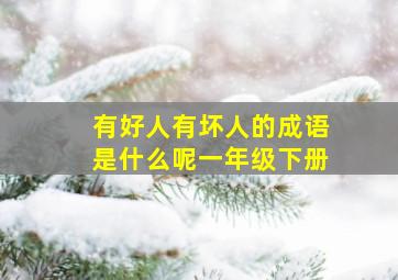 有好人有坏人的成语是什么呢一年级下册