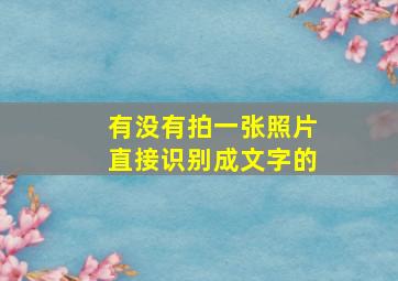 有没有拍一张照片直接识别成文字的