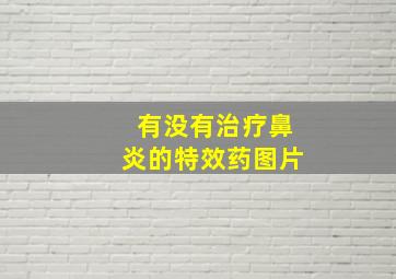 有没有治疗鼻炎的特效药图片