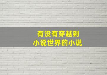 有没有穿越到小说世界的小说